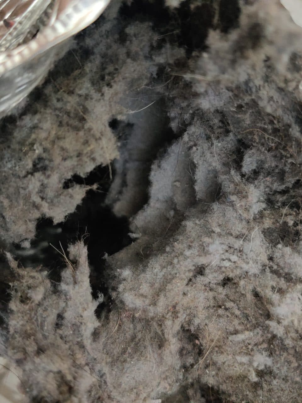 Lint-clogged dryer vent duct: LG dryer, model DLE2101W (dryer repair in Greenacres, FL, September 2026)