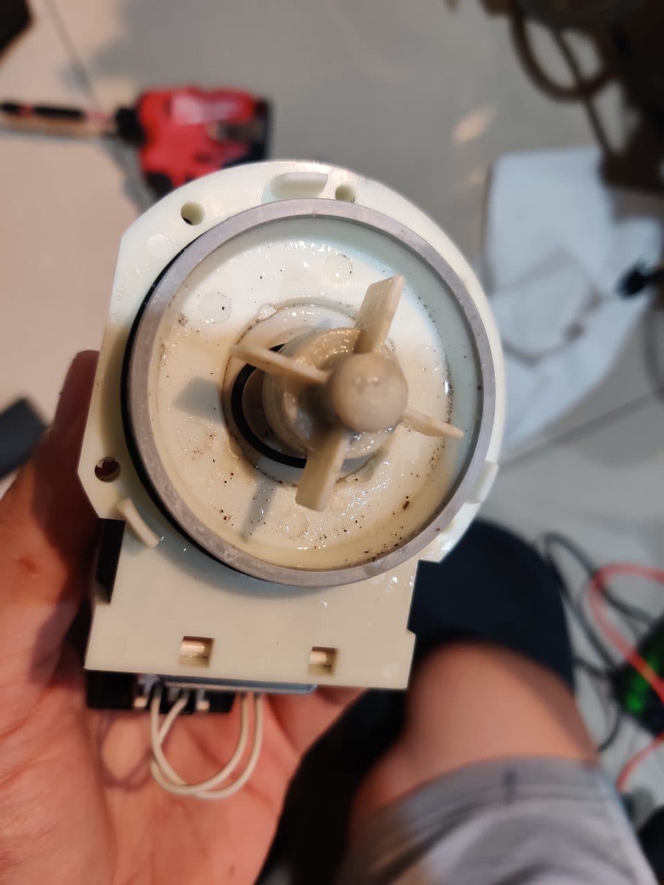 Old dishwasher drain pump: GE dishwasher, model GDT545PSJ6SS (dishwasher repair in Miramar, FL, July 2026)